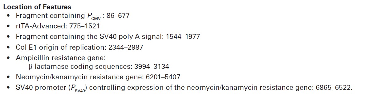pTet on advanced载体特征